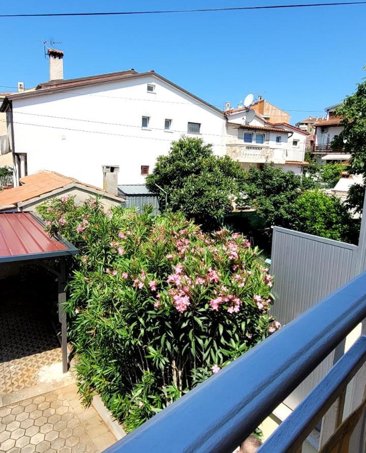 Apartmani Sojka ロヴィニ エクステリア 写真