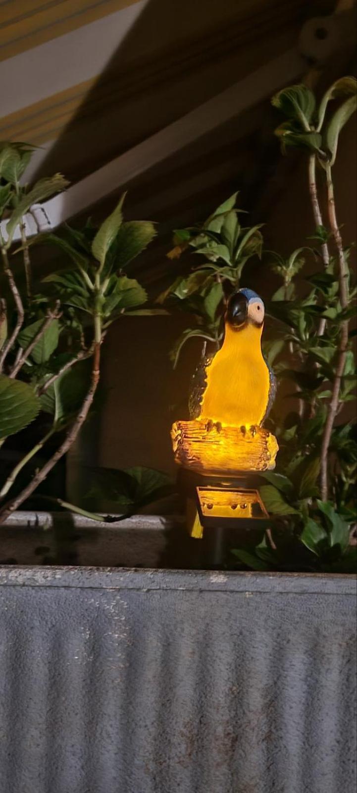 Apartmani Sojka ロヴィニ エクステリア 写真